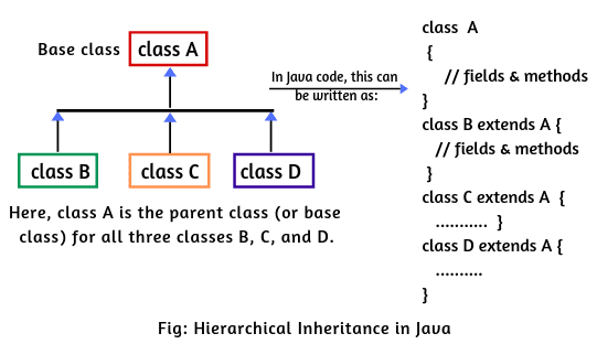 Hierarchical inheritance example