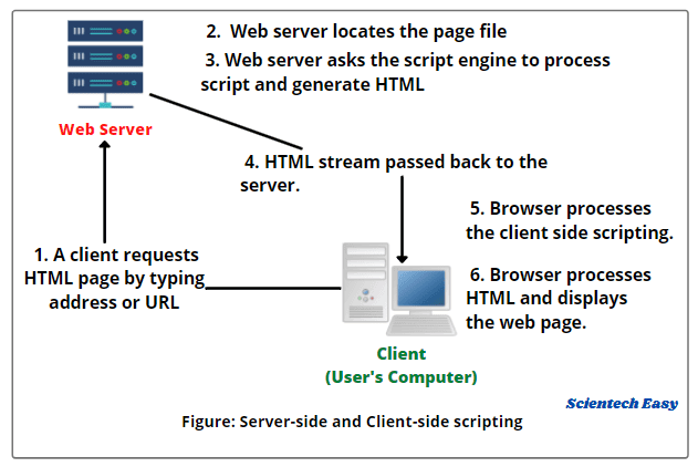 What is Client side scripting