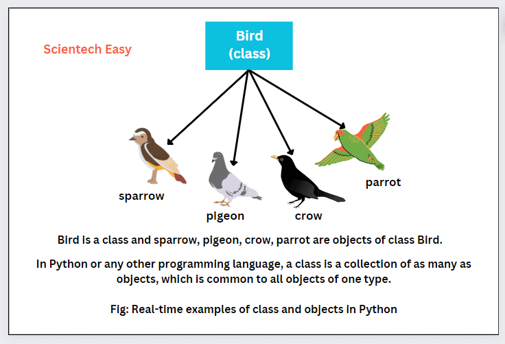 Realtime example of class in Python