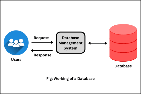 Working of a database