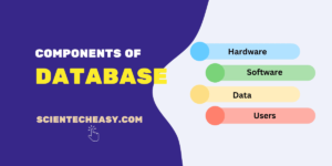 Components of Database system
