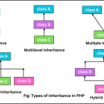 Types of inheritance in PHP with examples.