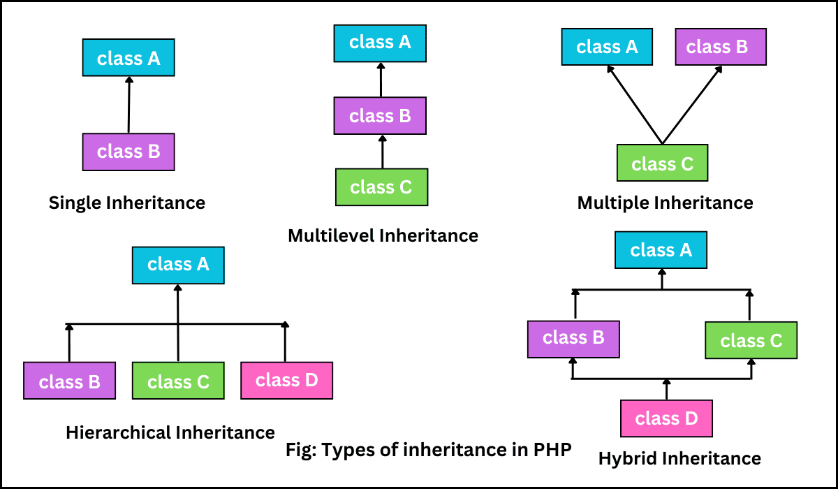 Types of inheritance in PHP with examples.